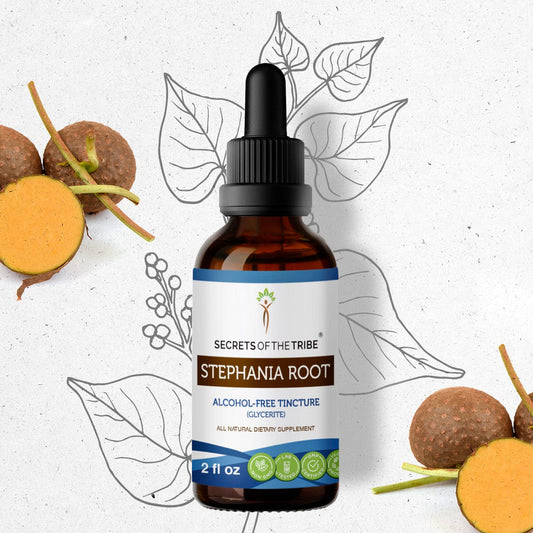 Secrets Of The Tribe Stephania Root Tincture buy online 