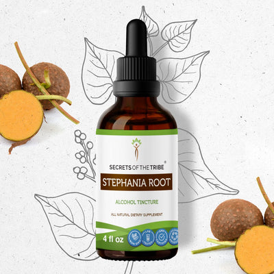 Stephania Root Tincture Secrets Of The Tribe Tincture Secrets Of The Tribe
