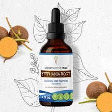 Load image into Gallery viewer, Secrets Of The Tribe Stephania Root Tincture buy online 