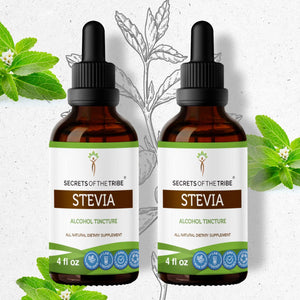 Secrets Of The Tribe Stevia Tincture buy online 