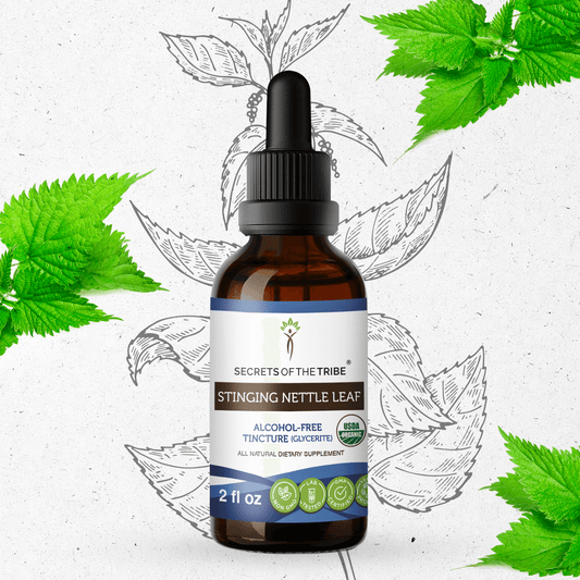 Secrets Of The Tribe Stinging Nettle Leaf Tincture buy online 