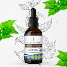 Load image into Gallery viewer, Secrets Of The Tribe Stinging Nettle Leaf Tincture buy online 