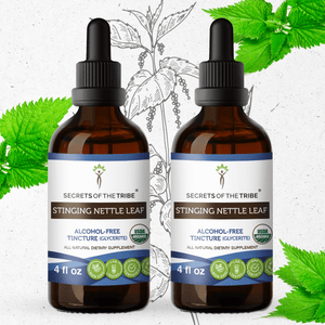 Secrets Of The Tribe Stinging Nettle Leaf Tincture buy online 