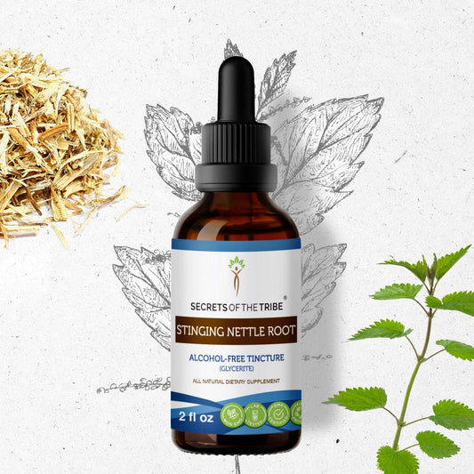 Secrets Of The Tribe Stinging Nettle Root Tincture buy online 