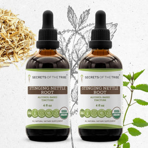 Secrets Of The Tribe Stinging Nettle Root Tincture buy online 