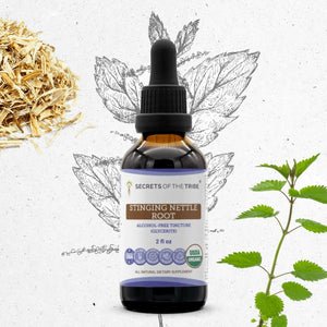 Secrets Of The Tribe Stinging Nettle Root Tincture buy online 