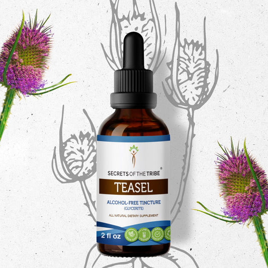 Secrets Of The Tribe Teasel Tincture buy online 