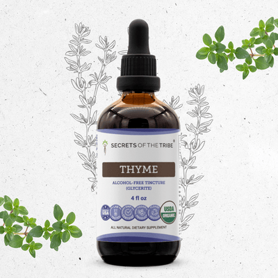 Thyme Tincture Secrets Of The Tribe Tincture Secrets Of The Tribe