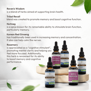 Secrets Of The Tribe Tribal Set for Cognitive Support buy online 