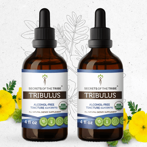 Secrets Of The Tribe Tribulus Tincture buy online 