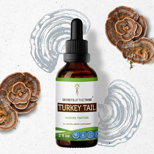 Secrets Of The Tribe Turkey Tail Tincture buy online 