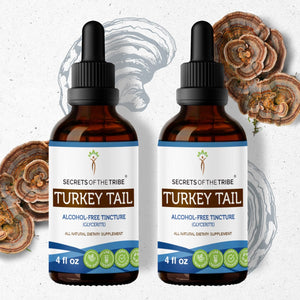 Secrets Of The Tribe Turkey Tail Tincture buy online 