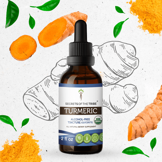 Secrets Of The Tribe Turmeric Tincture buy online 