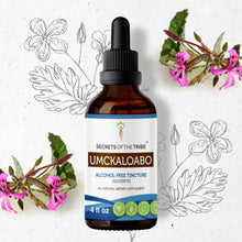 Load image into Gallery viewer, Secrets Of The Tribe Umckaloabo Tincture buy online 