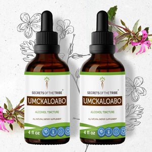 Secrets Of The Tribe Umckaloabo Tincture buy online 