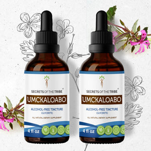 Secrets Of The Tribe Umckaloabo Tincture buy online 