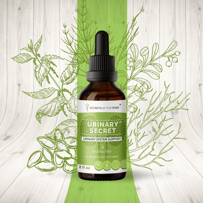 Buy Urinary Secret. Urinary System Support online - Secrets Of The Tribe