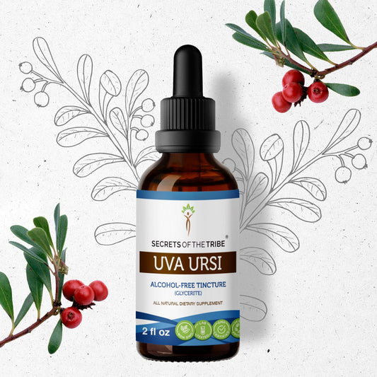 Secrets Of The Tribe Uva Ursi Tincture buy online 