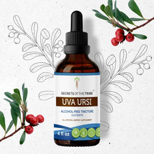 Load image into Gallery viewer, Secrets Of The Tribe Uva Ursi Tincture buy online 