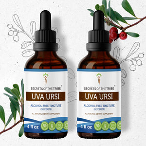 Secrets Of The Tribe Uva Ursi Tincture buy online 