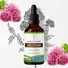 Load image into Gallery viewer, Secrets Of The Tribe Valerian Tincture buy online 