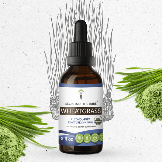 Secrets Of The Tribe Wheatgrass Tincture buy online 