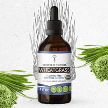 Load image into Gallery viewer, Secrets Of The Tribe Wheatgrass Tincture buy online 