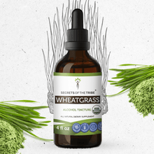 Load image into Gallery viewer, Secrets Of The Tribe Wheatgrass Tincture buy online 