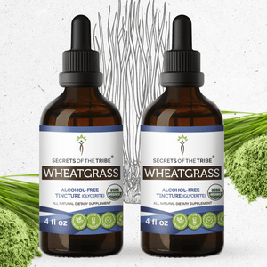 Secrets Of The Tribe Wheatgrass Tincture buy online 