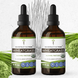 Secrets Of The Tribe Wheatgrass Tincture buy online 