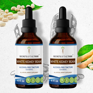 Secrets Of The Tribe White Kidney Bean Tincture buy online 