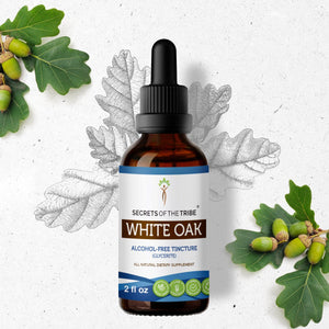 Secrets Of The Tribe White Oak Tincture buy online 