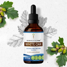 Load image into Gallery viewer, Secrets Of The Tribe White Oak Tincture buy online 