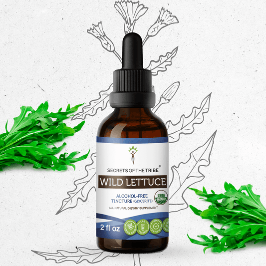 Secrets Of The Tribe Wild Lettuce Tincture buy online 