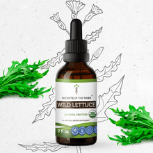 Load image into Gallery viewer, Secrets Of The Tribe Wild Lettuce Tincture buy online 