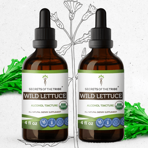 Secrets Of The Tribe Wild Lettuce Tincture buy online 