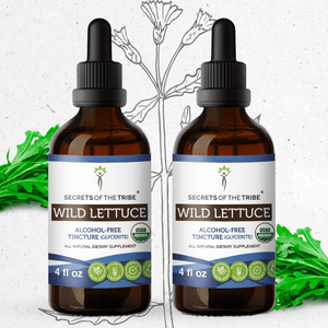 Secrets Of The Tribe Wild Lettuce Tincture buy online 