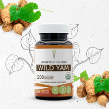 Load image into Gallery viewer, Secrets Of The Tribe Wild Yam Capsules buy online 