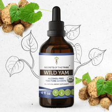 Load image into Gallery viewer, Secrets Of The Tribe Wild Yam Tincture buy online 