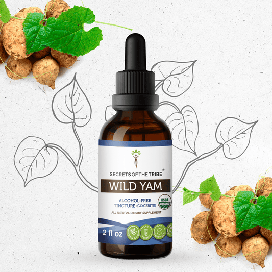 Secrets Of The Tribe Wild Yam Tincture buy online 