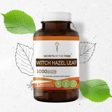 Load image into Gallery viewer, Secrets Of The Tribe Witch Hazel Leaf Capsules buy online 