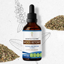 Load image into Gallery viewer, Secrets Of The Tribe Wood Betony Tincture buy online 