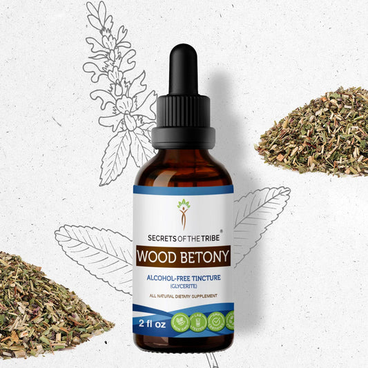 Secrets Of The Tribe Wood Betony Tincture buy online 