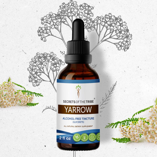 Secrets Of The Tribe Yarrow Tincture buy online 