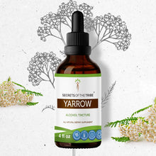 Load image into Gallery viewer, Secrets Of The Tribe Yarrow Tincture buy online 