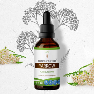 Secrets Of The Tribe Yarrow Tincture buy online 