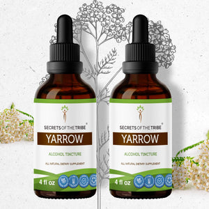 Secrets Of The Tribe Yarrow Tincture buy online 