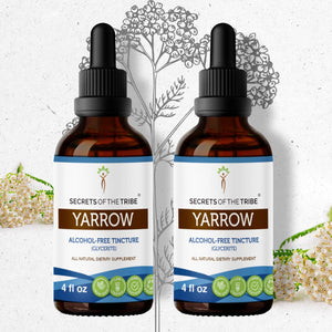 Secrets Of The Tribe Yarrow Tincture buy online 