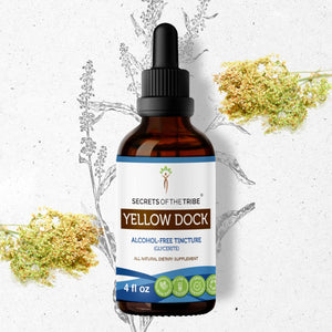 Secrets Of The Tribe Yellow Dock Tincture buy online 