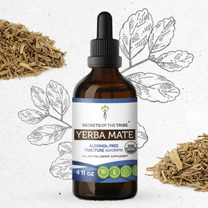 Secrets Of The Tribe Yerba Mate Tincture buy online 